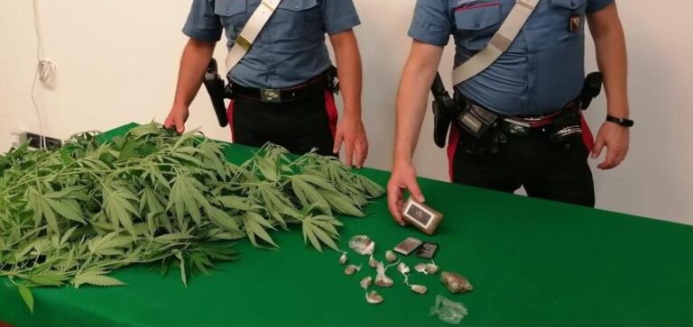 14.08.2023 castellammare marijuana e hashish