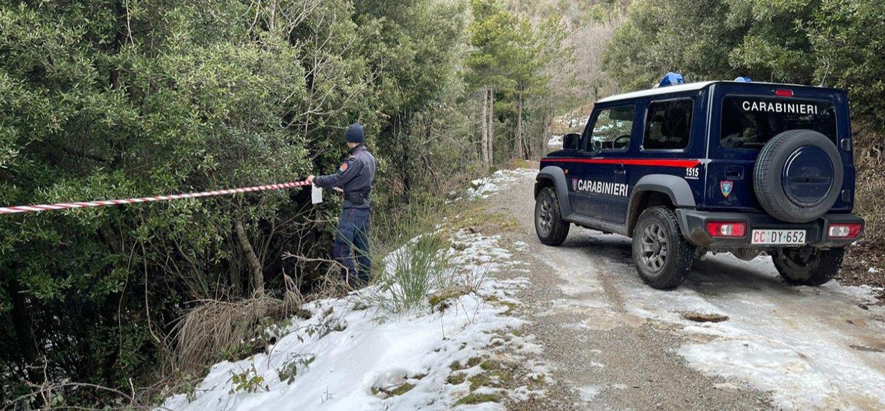 taglio Parco del Pollino