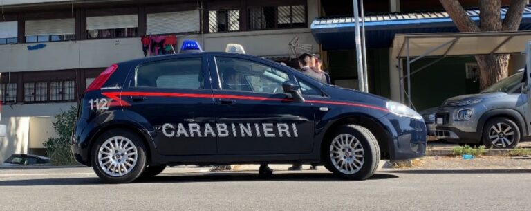 I Carabinieri impegnati nei controlli antidroga (2)