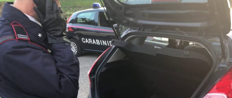 PROVINCIALE - I controlli antidroga dei Carabinieri (4)