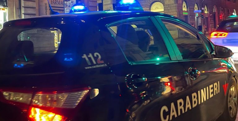 GRUPPO RM - Un controllo dei Carabinieri (4)