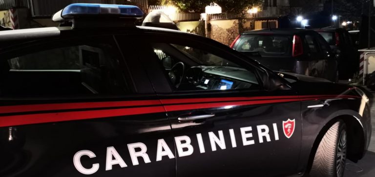 Operazione dei Carabinieri (3)