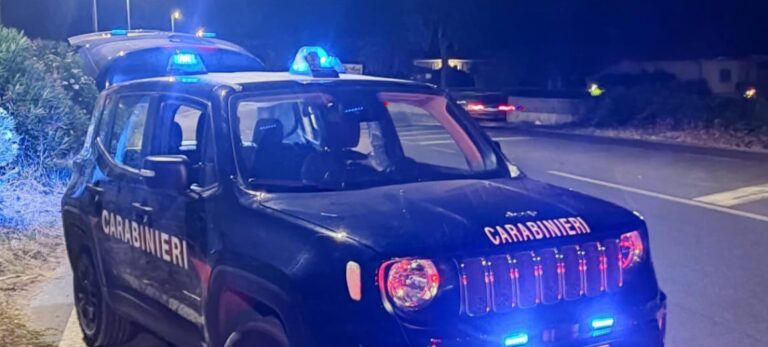 ANZIO - I Carabinieri intervenuti ad Ardea