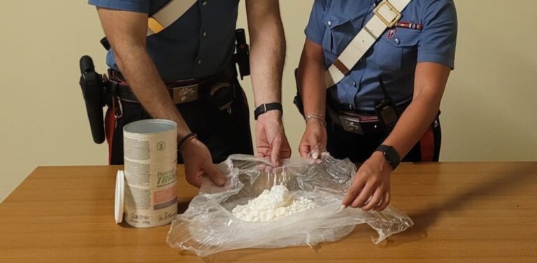 POMEZIA - La cocaina sequestrata dai Carabinieri