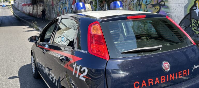 PROVINCIALE - Controlli antidroga dei Carabinieri (3)