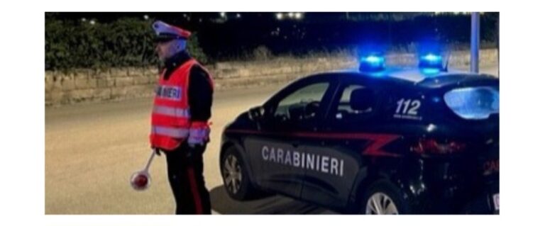 Oppido Lucano, tre malviventi denunciati dai Carabinieri